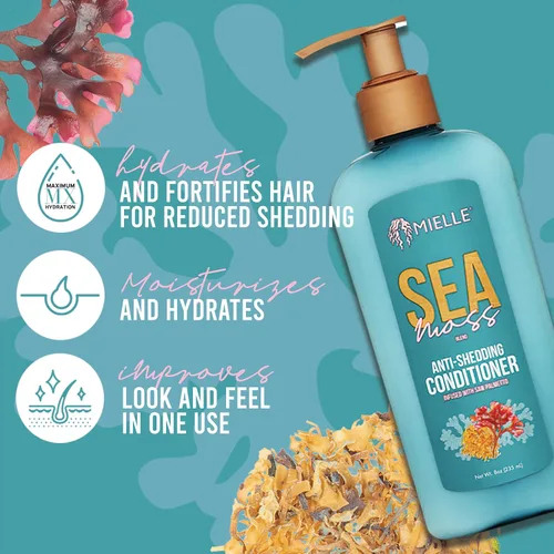 Vista 2 de Mielle Organics Sea Moss - Acondicionador hidratante para cabello seco, fortalece las hebras para reducir el desprendimiento, mejora el aspecto
