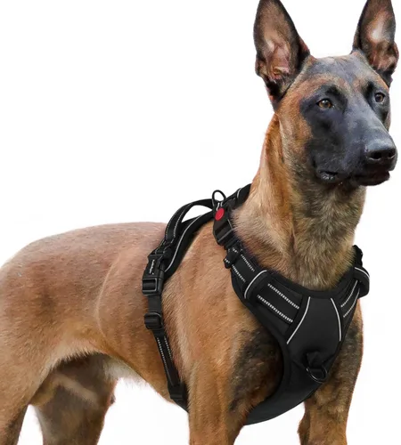 Vista 58 de Rabbitgoo - Arnés para perro de tamaño pequeño, actualizado, fácil de poner y quitar con 3 hebillas Sin tirones, sin estrangulamiento, caminar