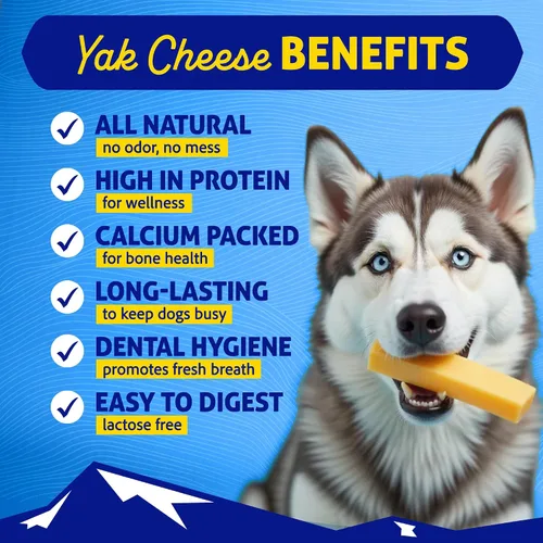 Vista 2 de Himalayan Dog Chew, The Original Yak Cheese Dog Chews, 4 masticables de yak grande/XL