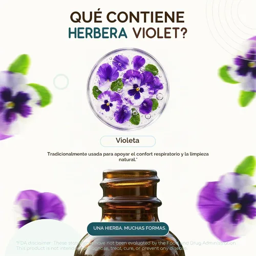 Vista 4 de HerbEra - Tintura de extracto líquido sin alcohol violeta - Soporte linfático, hoja seca tricolor de viola, gotas respiratorias, vegano, suplemento