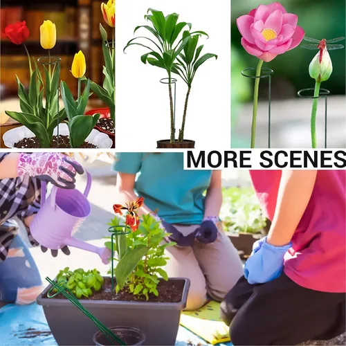 Vista 6 de 4 estacas para plantas de jardín para flores, soporte de metal para plantas de jardín de un solo tallo, soporte de flores de jardín para plantas