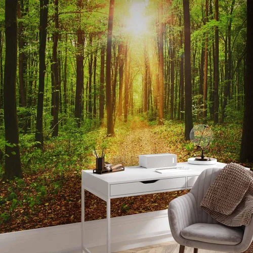 Vista 84 de artgeist Mural de pared premium Bosque púrpura, 79 x 55 pulgadas, papel tapiz no tejido, decoración de pared de vellón, impresión fotográfica