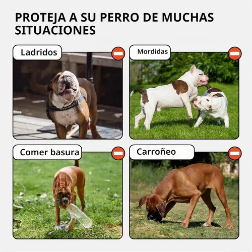 Vista 4 de CollarDirect - Bozal de cuero para boxeador y bulldog (marrón)