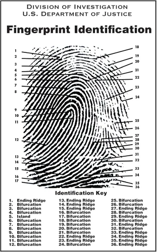 Vista 6 de Crime Scene Tabla de huellas dactilares, tamaño del póster 24 x 36 pulgadas