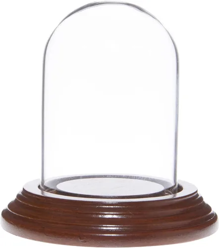 Vista 3 de Plymor 2" x 3" Mini cristal Display Dome Cloche (base de chapa de madera negra)