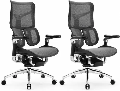 Vista 16 de SIHOO Doro S100 Ergonomic Office Chair - Dual Dynamic Lumbar Support, 4D Coordinated Armrests, 5-Level Adjustable Backrest, Recline Angle 135-degree