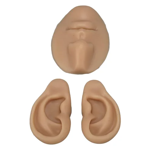 Vista 2 de Dioche Modelo 3D simulado de nariz y boca para práctica de piercing, herramienta de enseñanza segura, ligera y versátil para aspirantes a artistas