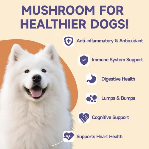 Vista 3 de Hongo para perros – 7 suplementos de hongos para perros, apoya la salud articular, cognición, celular e intestinal con melena de león, reishi, cola