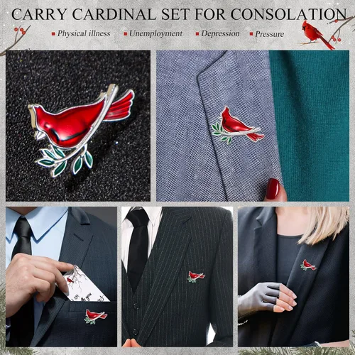 Vista 6 de Geosar Juego de 50 alfileres de cardenal conmemorativo, juego de fichas de bolsillo funerarias, guardián de bolsillo, alfileres cardenales caídos