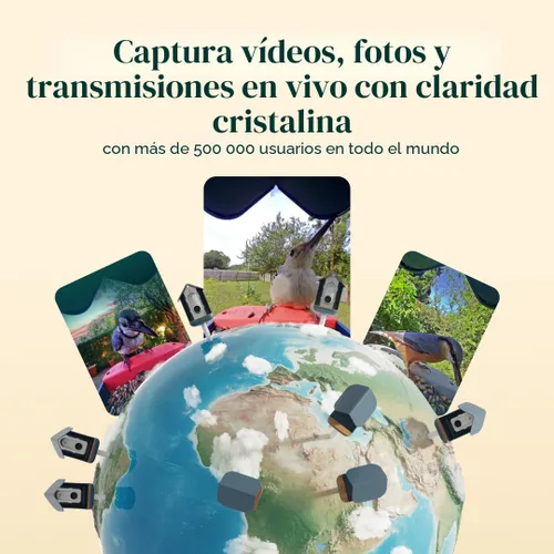 Vista 2 de Birdbuddy PRO Comedero Inteligente para Aves sin Energía Solar con Cámara - Identificación de Especies de Aves por IA, Fotos de 5MP, Cámara