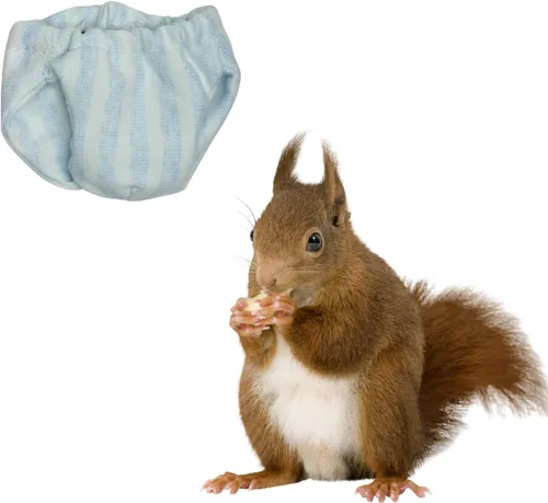 Vista 9 de Pañales lavables de ardilla – Pañales de tela reutilizables extra pequeños para mascotas, altamente absorbentes, a prueba de fugas, pantalones