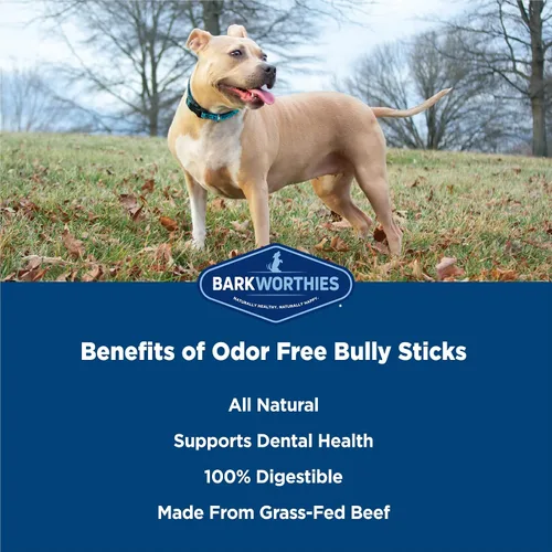 Vista 3 de Barkworthies Golosina Bully Stick sin olor, 6 pulgadas, (paquete de 5)