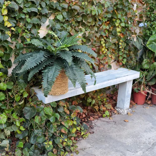Vista 5 de Helechos artificiales para exteriores e interiores de 33 pulgadas de extensión, 2 tallos grandes, helecho Boston falso, plantas artificiales de seda