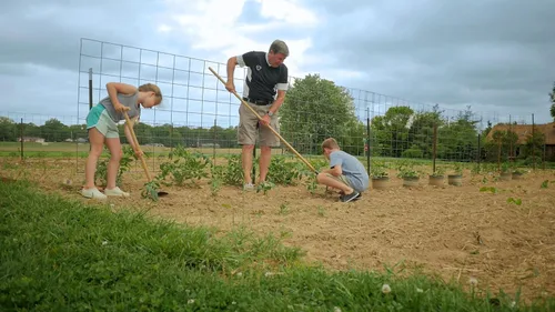 Vista 6 de Eurogarden Cultivador de 3 dientes para niños, herramienta de jardín ligera con mango de madera largo para niños o adultos que prefieren