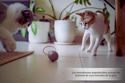 Vista 5 de Juguetes interactivos para gatos de interior Calidad premium con 3 colas desmontables Modos de velocidad automáticos con movimiento real
