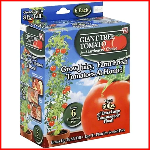 Vista 5 de Gardeners' Choice - Árbol de tomate gigante