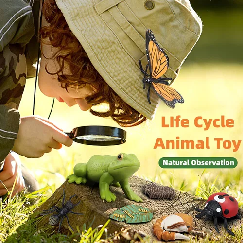 Vista 5 de Figuras del Ciclo de Vida de Animales Montessori con Tarjetas Flash, Juguetes de Figuritas de Animales Realistas, Juego Educativo de Emparejamiento