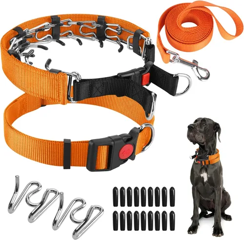 Vista 20 de Collar de entrenamiento de puntas con puntas cómodas y hebilla de cierre rápido – Collar de pellizco para perro con cubierta de nailon