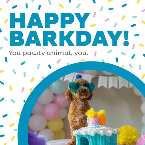 Vista 2 de Outward Hound Hide A Birthday Cake, rompecabezas de peluche con temática de cumpleaños para perros