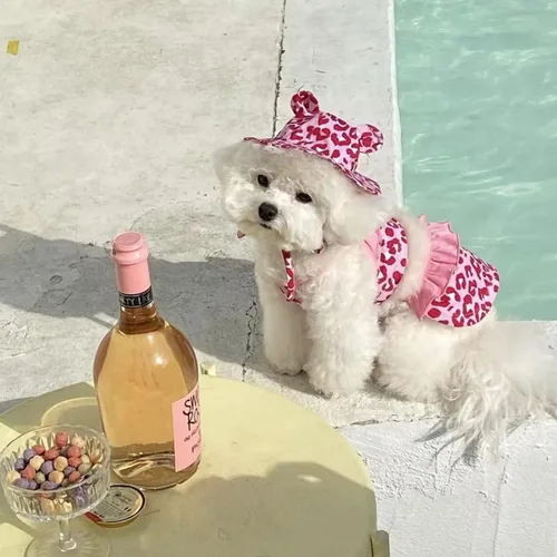 Vista 5 de Traje de baño de bikini de leopardo para perro, traje de baño