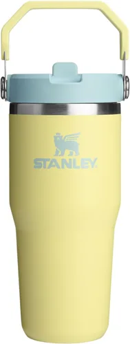Vista 47 de STANLEY IceFlow 2.0 - Vaso con pajilla abatible con asa, 30 onzas, tapa giratoria y popote abatible, botella de agua a prueba de fugas, acero Tiza
