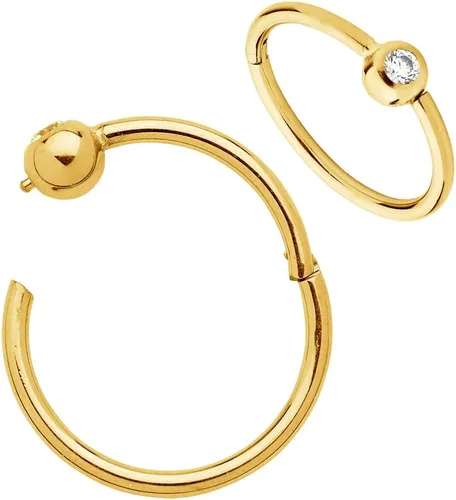 Vista 18 de 365 Sleepers Anillo de titanio de 18G de 0.236 a 0.394 pulgadas, con bisagras, segmento BCR, hélice, tragus, septum, nariz, labio, arete de aro