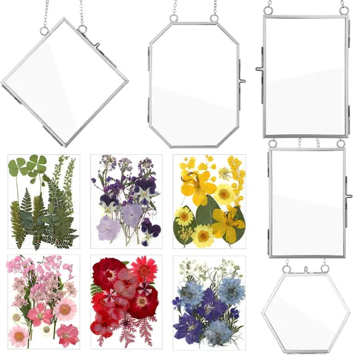 Vista 8 de Bucherry Marco de vidrio para bricolaje, arte de flores prensadas, marco de fotos colgante de latón con cadena y 6 estilos de flores prensadas