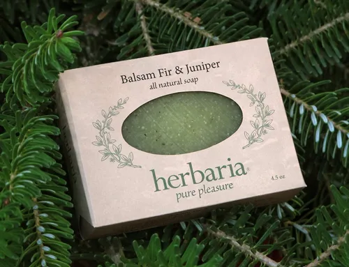 Vista 3 de Herbaria Jabón natural hecho a mano de abeto y enebro con aceites esenciales. Barra de 4.5 onzas. Disfruta de 60 variedades más amigables
