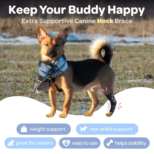 Vista 3 de Labra Vendaje de Compresión para Articulación del Corvejón de Pata Trasera de Perro - Soporte Ortopédico para Patas Traseras Débiles, Desgarro