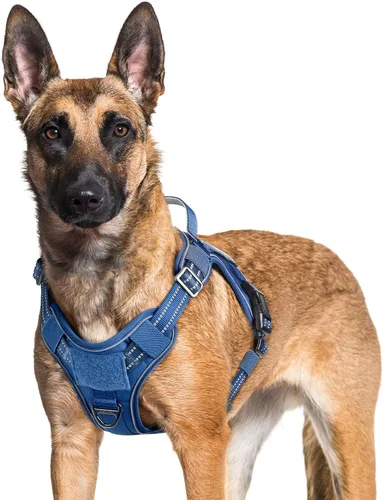 Vista 32 de rabbitgoo - Arnés para perros pequeño sin tirones, chaleco táctico de servicio con Molle y asa de control, arnés militar ajustable y reflectante