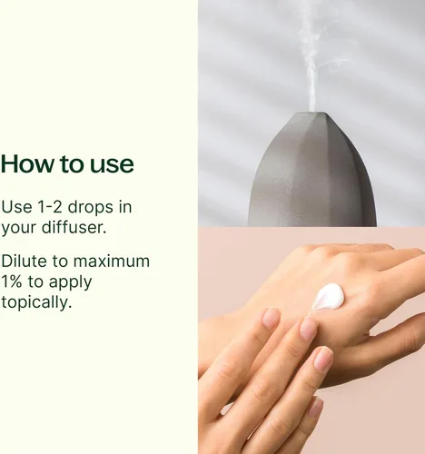 Vista 5 de Terapia herbolaria, raíz de jengibre Extracto de CO2. 100% puros, sin diluir, grado terapéutico. 1/3 oz. Aceite de jengibre puro y sin diluir
