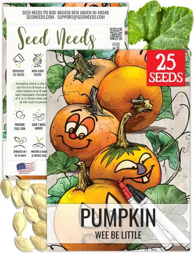 Vista 19 de Seed Needs Semillas de calabaza para plantar calabazas pequeñas de tarta de azúcar, semillas de verduras sin OMG y sin tratar para plantar un huerto
