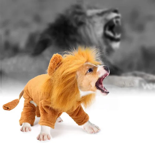 Vista 5 de Rypet Disfraz de león para perro, ropa para mascotas para fiesta de Halloween, simulación, trajes de mascotas de león para cosplay, ropa