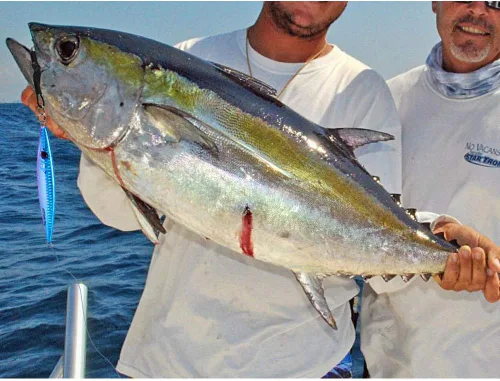 Vista 2 de Goture Fishing Jigs Saltwater 60g-200g with Assist Hook, Glow Vertical Jigs, Speed Fast Lead Jig Sea Fishing Jigging Spoon Lures for Tuna, Salmon