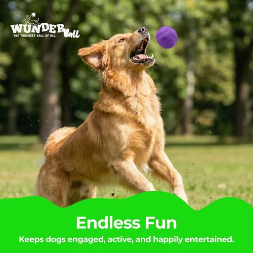 Vista 9 de WACKYwalk'r WUNDERball Juguete de Buscar Duradero para Perros – Pelota de Goma Natural Indestructible, Más Segura que las Pelotas de Tenis, Flota