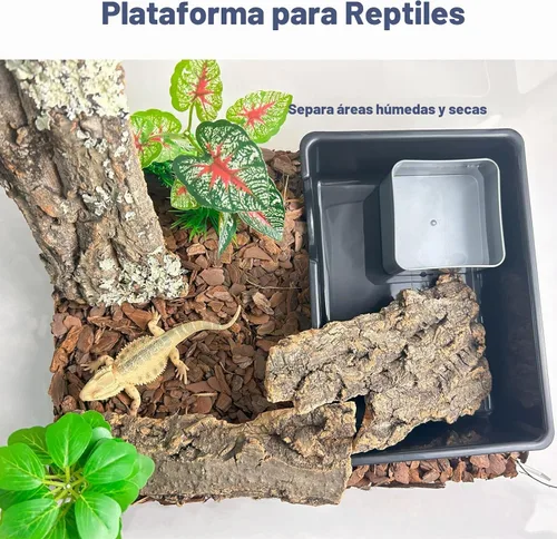 Vista 8 de Cueva húmeda para reptiles, escondite de serpiente para pitones bola, escondite de gecko, geckos leopardo, dragones barbudos, decoración compacta