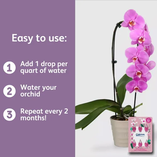 Vista 6 de Chrysal Gotas de Alimento para Orquídeas — Cuidado de Orquídeas — Un Paquete para un Suministro de un Año — Alimento Floral Concentrado para Todas