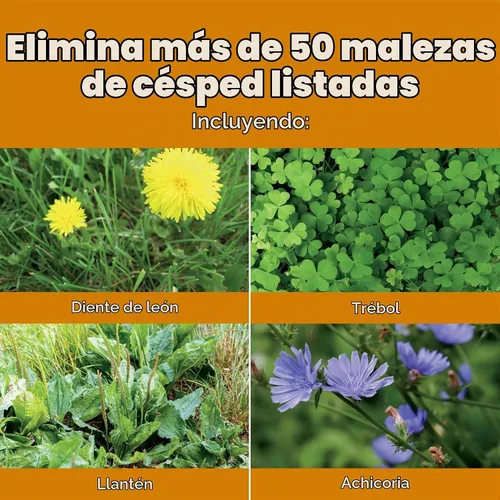 Vista 6 de Scotts Turf Builder WinterGuard Fall Weed & Feed3, Herbicida Plus Fertilizante de Otoño, 4,000 pies cuadrados, 11.43 libras. Weed Killer Plus