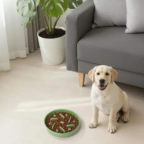 Vista 8 de Cuenco de cerámica para perros de alimentación lenta, 2 tazas de plato de Laberinto - Verde
