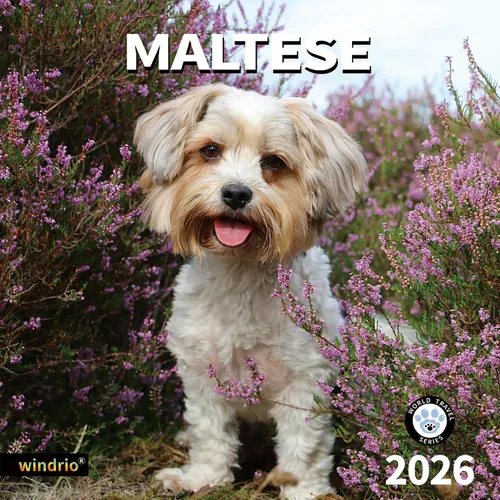 Vista 12 de Calendario de Pared 2026, Calendario 2026, Noviembre 2025 - Diciembre 2026, Calendario de Pared de Animales Bebés, 12" x 24" Abierto, Meses