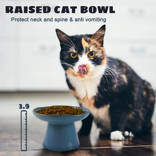 Vista 5 de Cuenco elevado de cerámica extra ancho de 6.1 pulgadas para comida de gato, comedero elevado poco profundo para mascotas para alimentación, cuencos