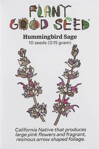 Vista 13 de Plant Good Seed Semillas orgánicas de salvia clara para plantar: hierba para cosméticos, flores moradas fragantes - Paquete de 50 semillas