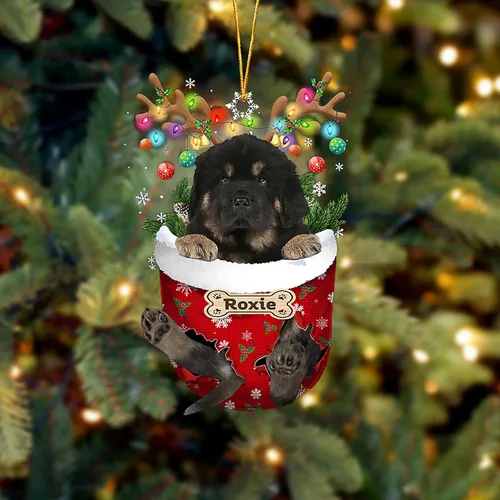 Vista 108 de LOVELYPOD Adorno Personalizado de Perro Affenpinscher, Adornos de Navidad Affenpinscher Regalo para Amante de Perros, Adorno de Navidad Colgante