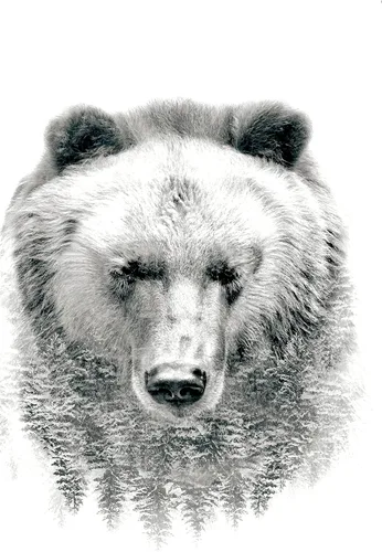 Vista 10 de Trends International Póster de pared de oso - árboles, 14.725 x 22.375 pulgadas, versión enmarcada de madera de granero