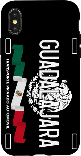 Vista 5 de Guadalajara License Plate Aesthetic, Jalisco Guadalajara Case for iPhone 17