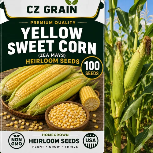 Vista 48 de CZ Grain Semillas para plantar, 40 pequeñas mezclas de calabaza
