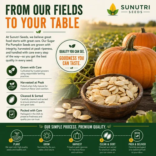 Vista 7 de Semillas de calabaza, más de 25 pasteles de azúcar, reliquia, semillas sin OMG, Cucurbita Pepo