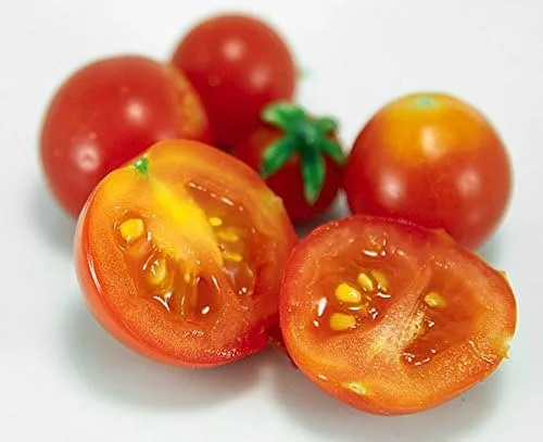 Vista 5 de Más de 30 semillas de tomate Red Robin Enano Determinadas Heirloom No OGM Dulce y Sabroso Bajo Ácido Raro Mini, Lycopersicon lycopersicum