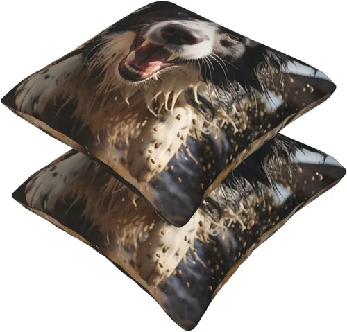 Vista 6 de 2 fundas de almohada cuadradas de 16 x 16 pulgadas, fundas de almohada suaves de pastor Border Collie, fundas de almohada modernas para decoración