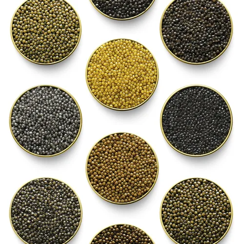 Vista 5 de Hackleback Black American Caviar - 17.6 oz / 500 g - Huevas negras Malossol Premium - GARANTIZADO POR LA NOCHE